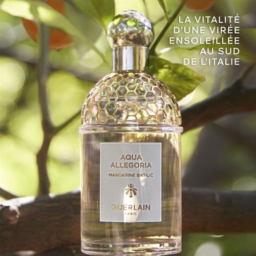 GUERLAIN  3346470143951